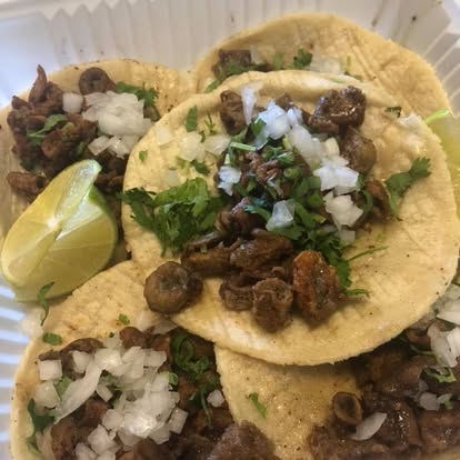 Birria tacos dorados combo — Birria Patro San Jose